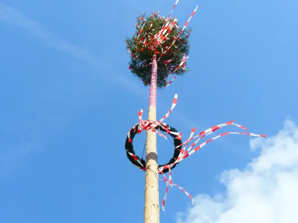 Майское дерево (Maibaum)